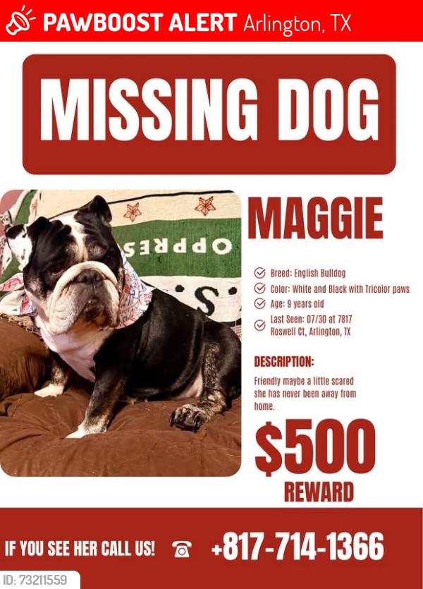 Lost Female Dog last seen E lonesome dove trail, Arlington, TX 76002