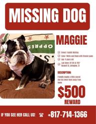Lost Female Dog last seen E lonesome dove trail, Arlington, TX 76002