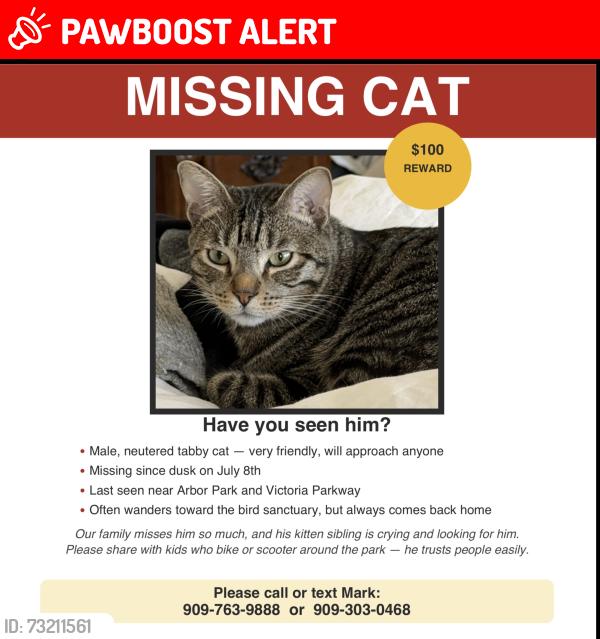 Lost Male Cat last seen Victoria Park Lane/Church/Baseline, Rancho Cucamonga, CA 91739