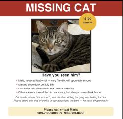Lost Male Cat last seen Victoria Park Lane/Church/Baseline, Rancho Cucamonga, CA 91739