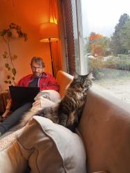 Lost Male Cat last seen Moorhead and Elm, Boulder, CO 80305