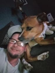Lost Male Dog last seen 83rd blondo, Omaha, NE 68134