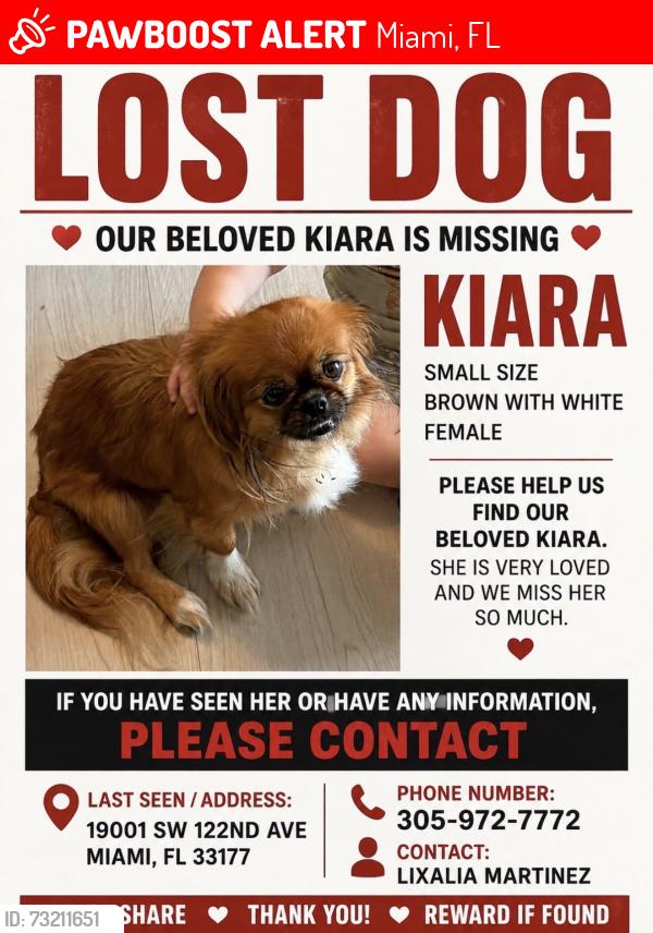 Lost Female Dog last seen South miami elementary school, Miami, FL 33177