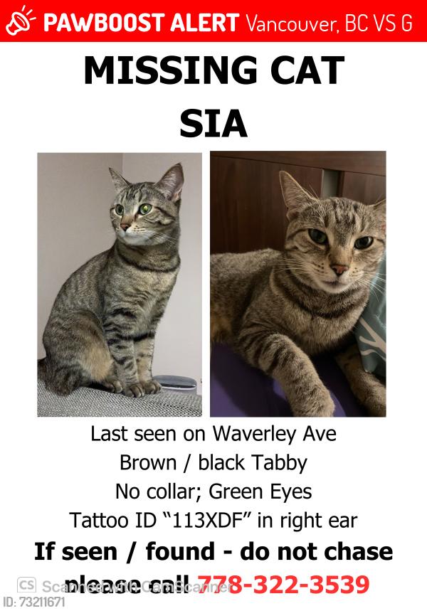 Lost Female Cat last seen Killarney secondary school, Vancouver, BC V5S 1G1