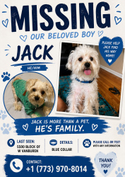 Lost Male Dog last seen Jackson, Chicago, IL 60644