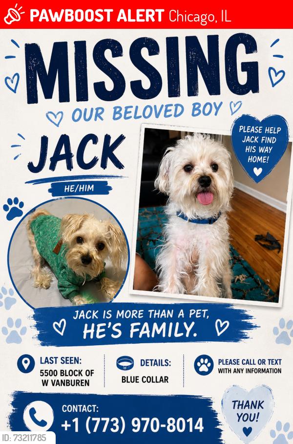 Lost Male Dog last seen Jackson, Chicago, IL 60644