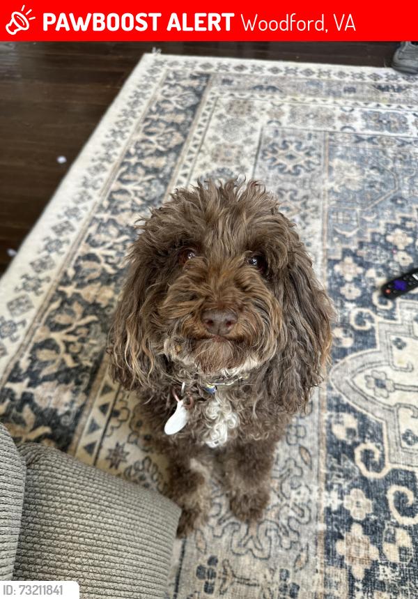 Lost Male Dog last seen Sneads farm, Woodford, VA 22580