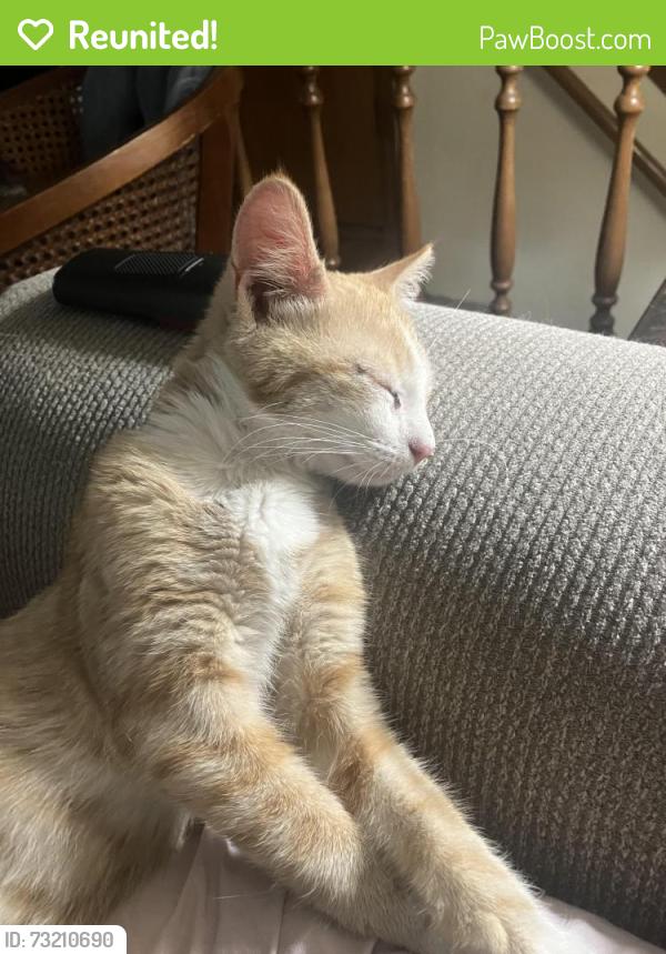 Reunited Male Cat last seen 29th and Oliver, Wichita, KS 67220