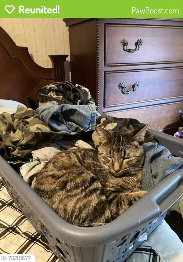 Reunited Female Cat last seen 29th and Oliver, Wichita, KS 67220