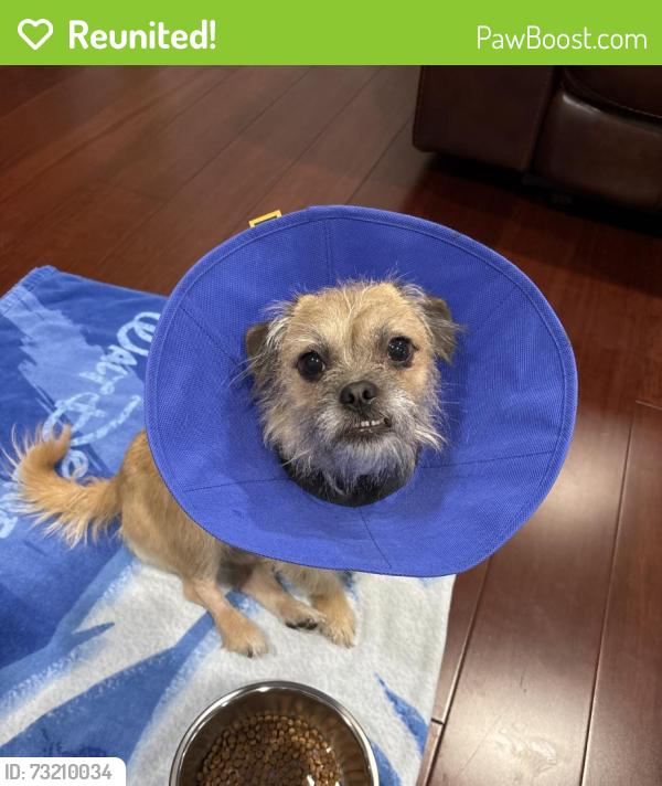 Reunited Male Dog last seen Palomares Park, Pomona, CA 91767