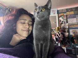 Lost Female Cat last seen Tamarack Ave, Carlsbad, CA 92008