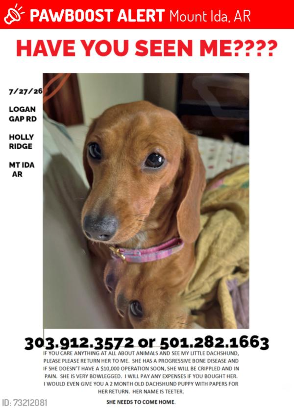 Lost Female Dog last seen HOLLY RIDGE, Mount Ida, AR 71957