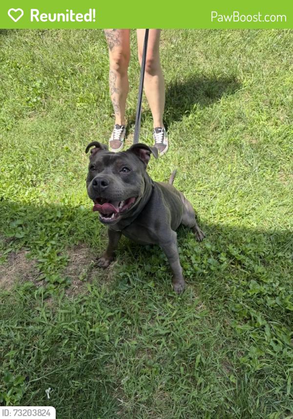 Reunited Male Dog last seen Somers & W Webb Avenue, Burlington, NC 27215