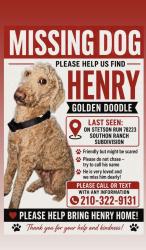 Reunited Male Dog last seen Stetson run, San Antonio, TX 78223