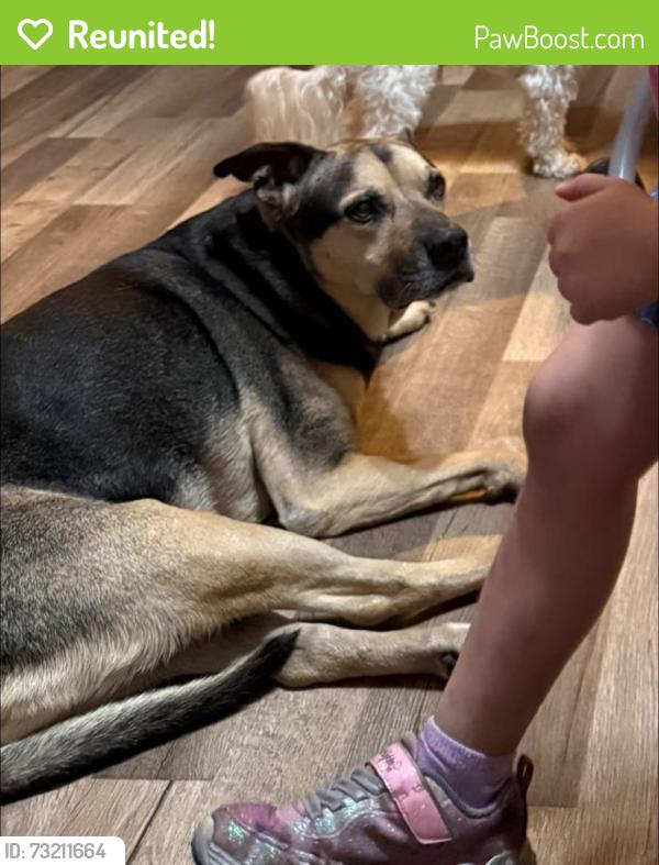 Reunited Male Dog last seen Near Achilles Rd, Cocoa, FL 32927, USA, Cocoa, FL 32927