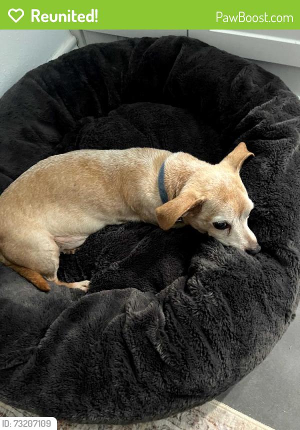 Reunited Male Dog last seen East Dallas off Ferguson, Dallas, TX 75228