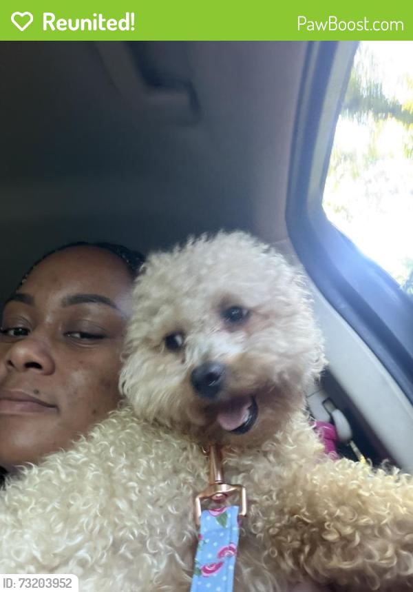 Reunited Female Dog last seen Pine Ridge Trailer Park, Prince George, VA 23875