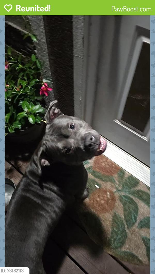 Reunited Female Dog last seen South pomegranite street, Sioux City, IA 51106
