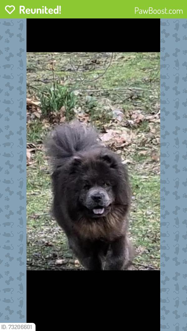 Reunited Female Dog last seen 68th street and Thornapple River Dr, Alto, MI 49302