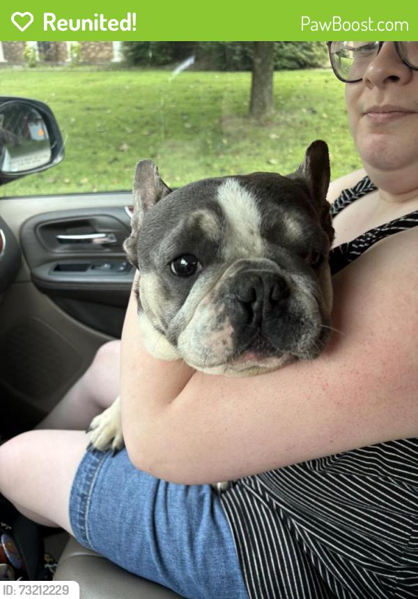 Reunited Unknown Dog last seen Knight and oak, Evansville, IN 47715
