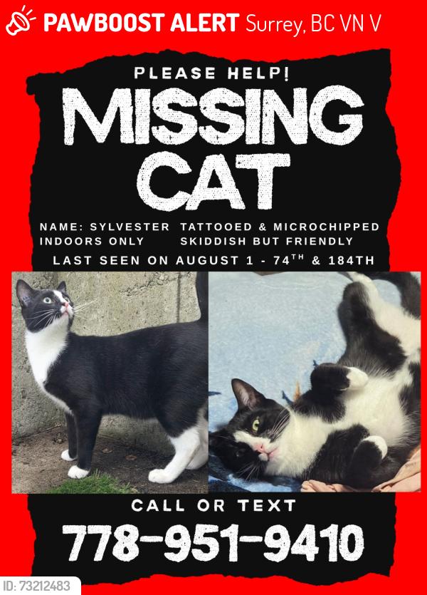 Lost Male Cat last seen Near and 184 street. Clayton Heights area, Surrey, BC V4N 5V3