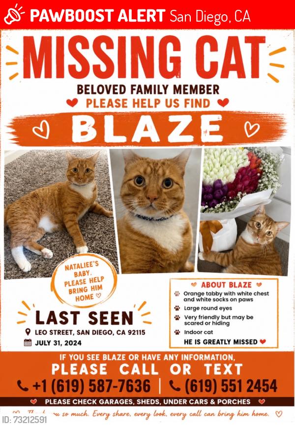 Lost Male Cat last seen College area, San Diego, CA 92115