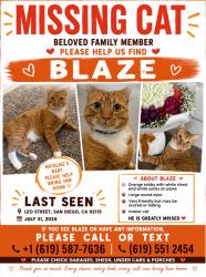 Lost Male Cat last seen College area, San Diego, CA 92115