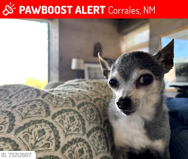 Lost Female Dog last seen Loma Larga Rd & Richard Rd, Corrales, NM 87048