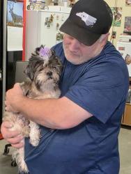 Reunited Female Dog last seen Galilee Road and Hillcrest Road behind White Swan, Smithfield, Smithfield, NC 27577
