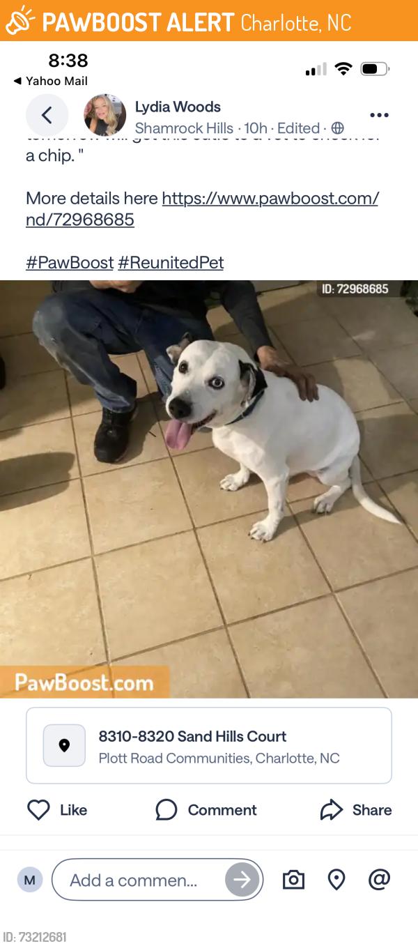 Found/Stray Unknown Dog last seen Burnt umber Plott rd, Charlotte, NC 28215