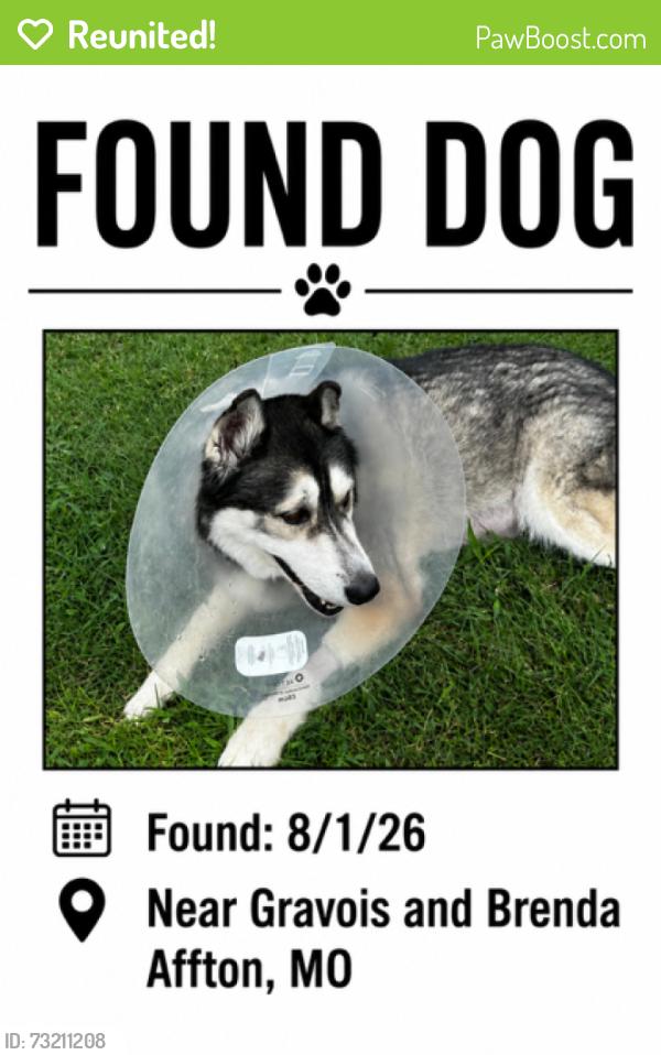 Reunited Unknown Dog last seen Brenda and Pauline Affton, MO, Affton, MO 63123