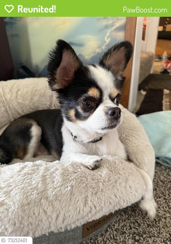 Reunited Male Dog last seen RV PARK ON NASP, Pensacola, FL 32508