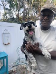 Found/Stray Male Dog last seen NW Terrace Road, North River Shores, FL 34994