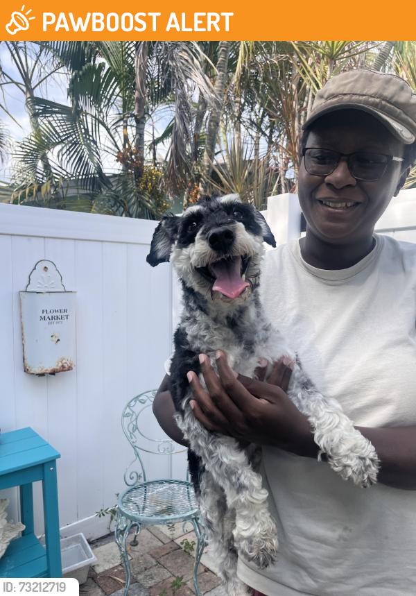 Found/Stray Male Dog last seen NW Terrace Road, North River Shores, FL 34994
