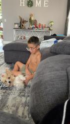 Lost Female Dog last seen Quail creek and Gowan, North Las Vegas, NV 89032