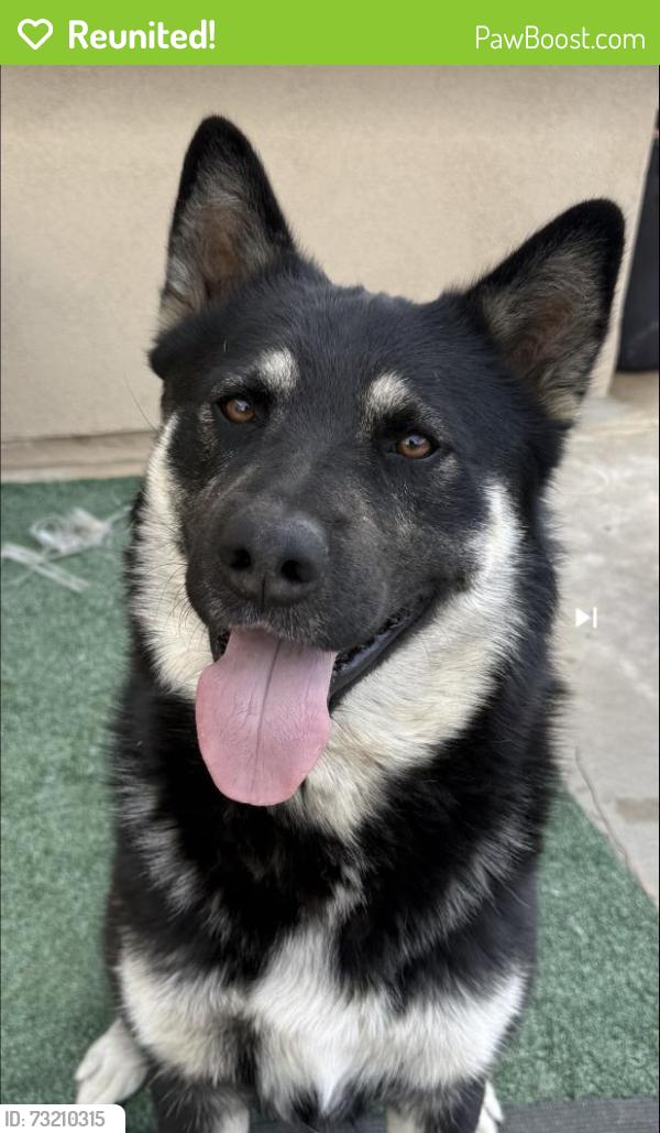 Reunited Male Dog last seen Breakwater st and grand, Lake Elsinore, CA 92530