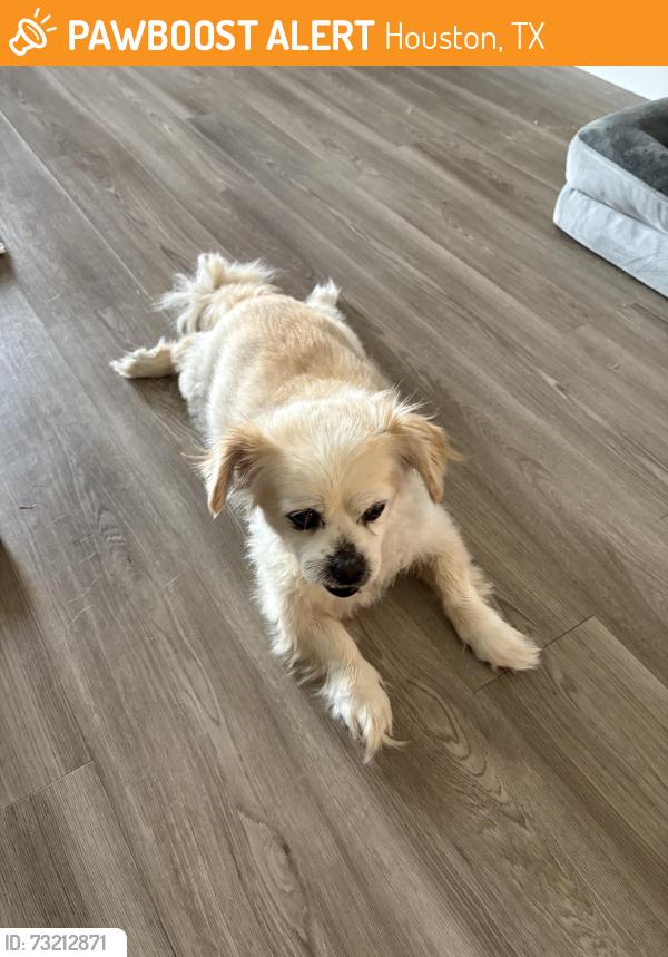 Found/Stray Male Dog last seen Baltic reach Dr and westgreen rd, Houston, TX 77433