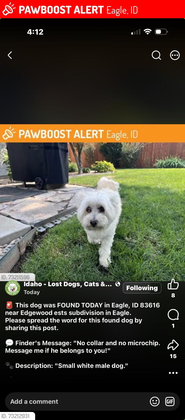 Lost Male Dog last seen Edgewood Road and ests subdivision in Eagle, Eagle, ID 83616