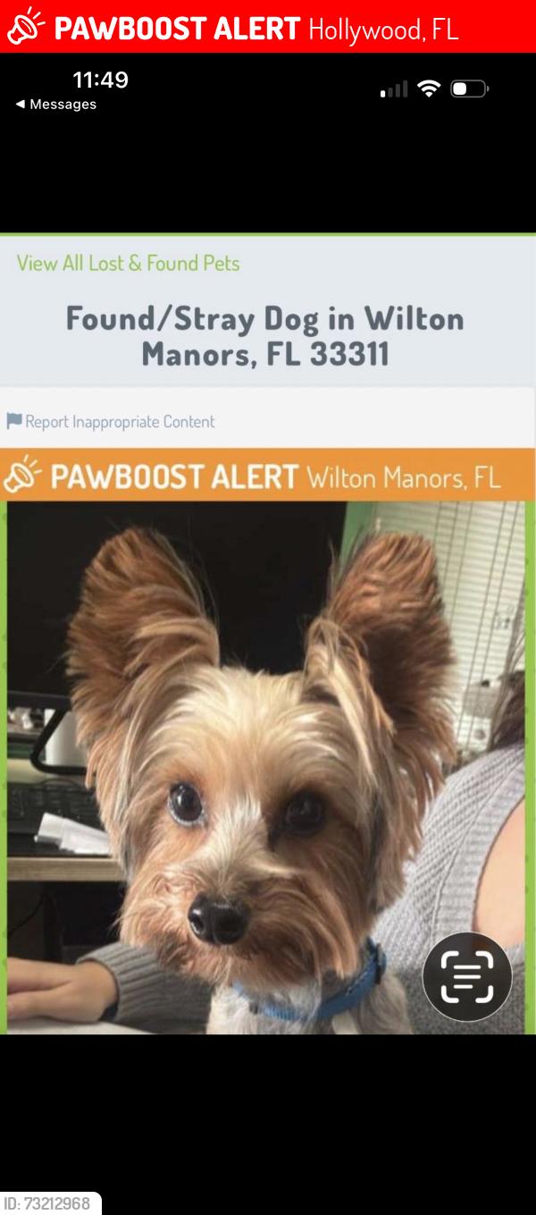 Lost Male Dog last seen Leonor, Hollywood, FL 33020