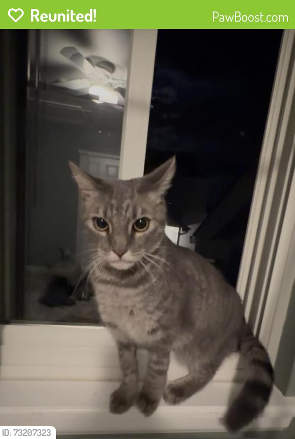 Reunited Unknown Cat last seen East otero and south Oneida, Centennial, CO 80112