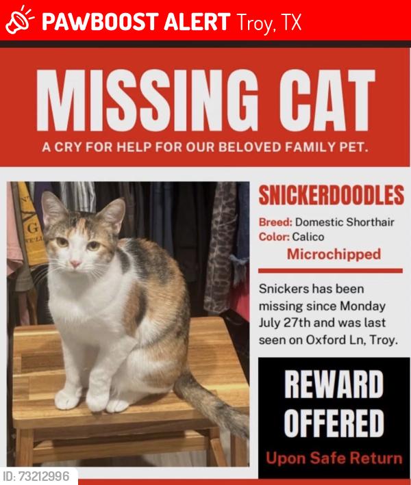 Lost Female Cat last seen I35, Troy, TX 76579