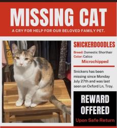 Lost Female Cat last seen I35, Troy, TX 76579