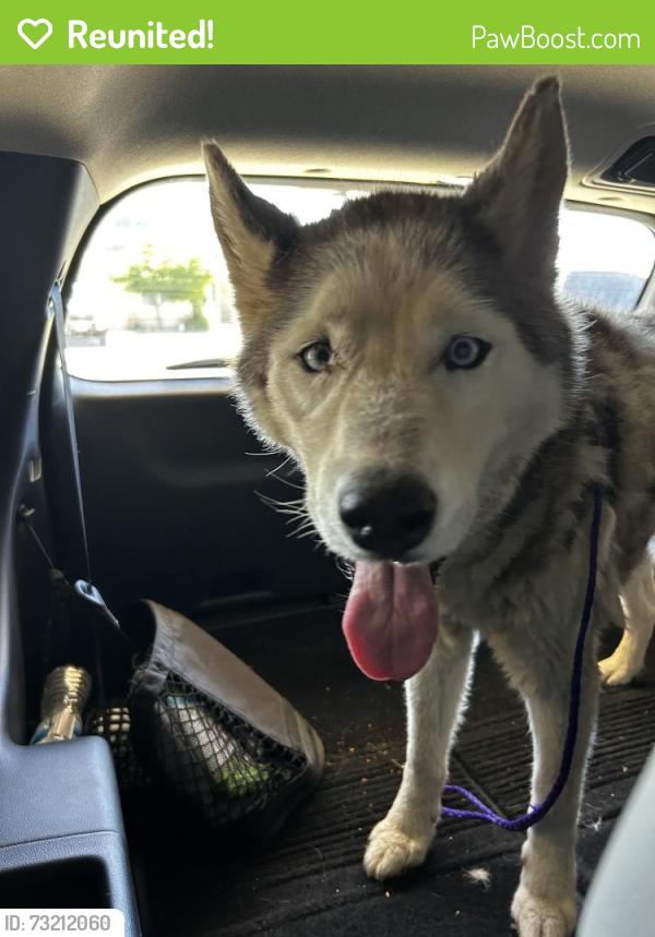 Reunited Unknown Dog last seen Herndon and temperance, Clovis, CA 93611