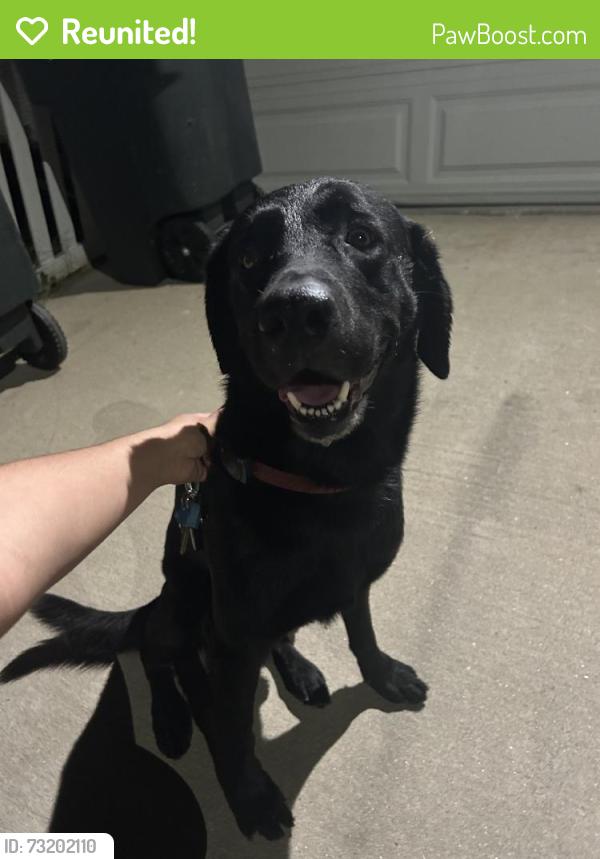 Reunited Male Dog last seen E Congress St, Colton, CA 92324, USA, Colton, CA 92324