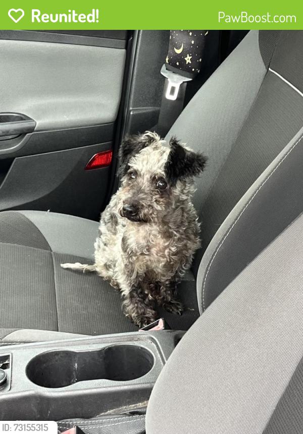 Reunited Male Dog last seen Bendix, Elkhart, IN 46516
