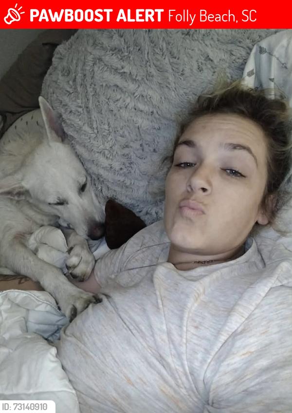 Lost Female Dog last seen Folly, Folly Beach, SC 29439