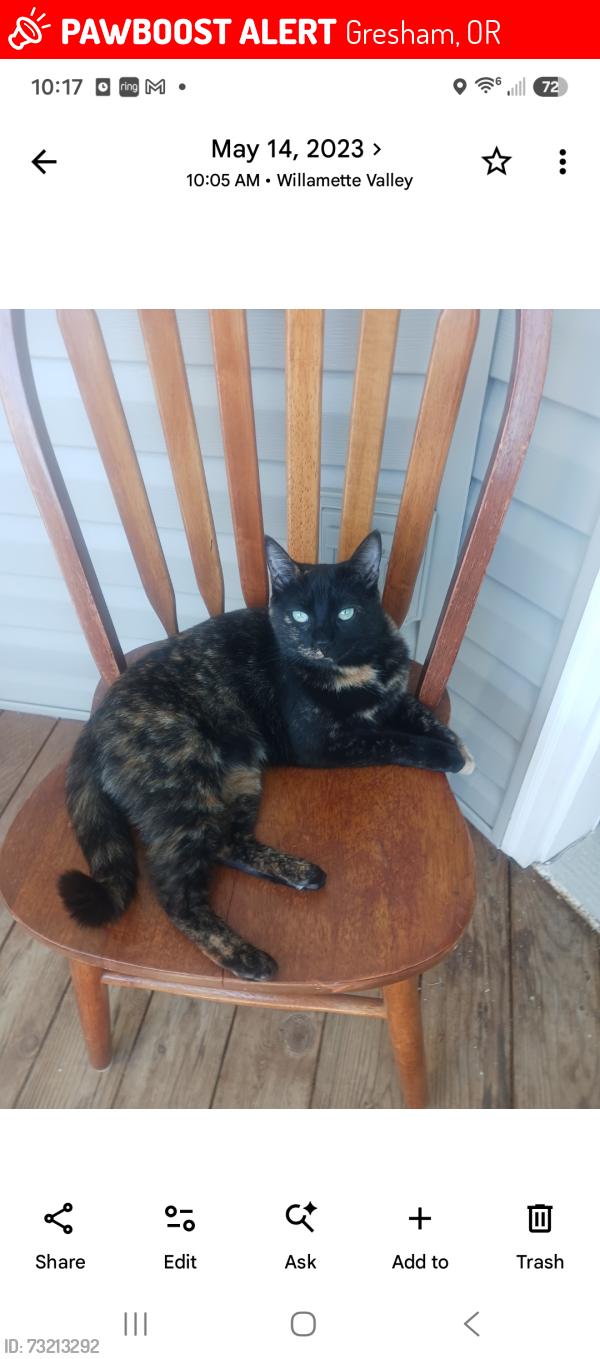 Lost Female Cat last seen 173rd Ave and NE Irving, Gresham, OR 97230
