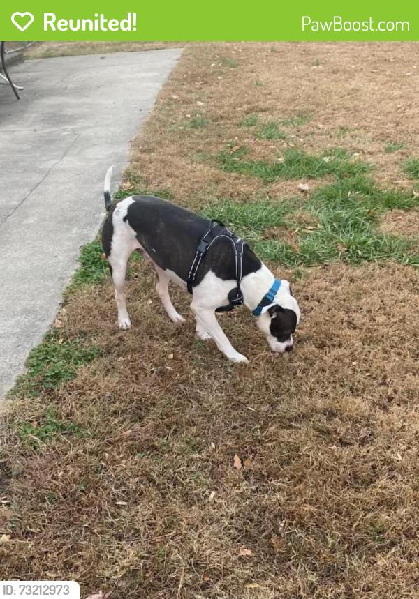 Reunited Male Dog last seen Winter drive, Wake Forest, NC 27587