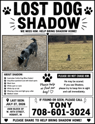 Lost Male Dog last seen casa de hobart is across the street from the property, Hobart, IN 46342