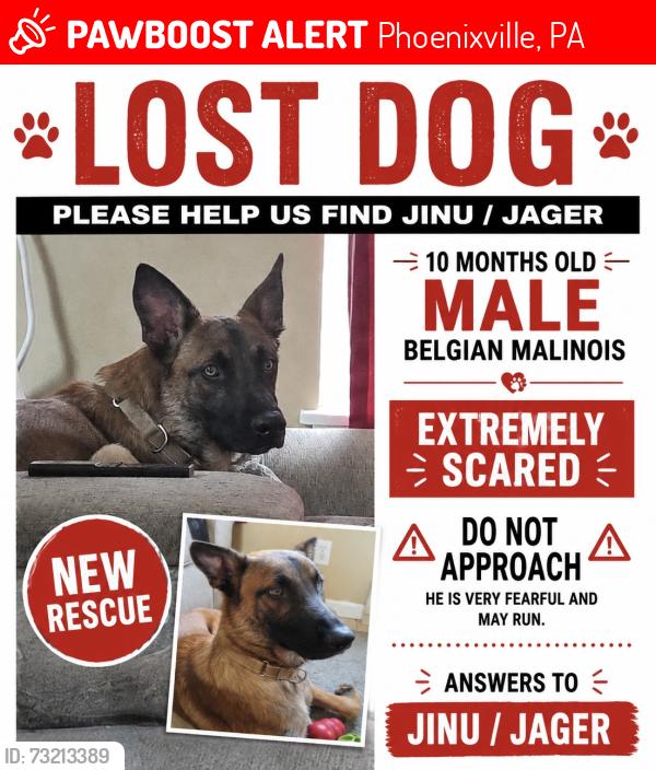 Lost Male Dog last seen Upper Providence twp Compost, Phoenixville, PA 19460